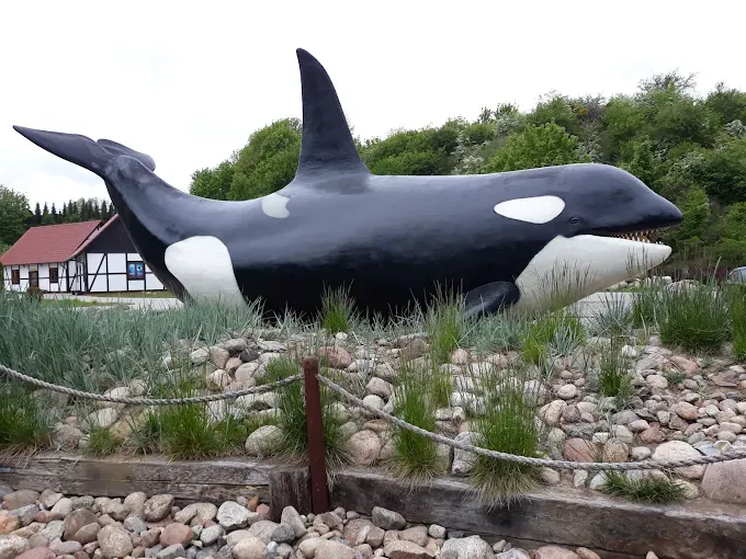 Ocean Park Władysławowo